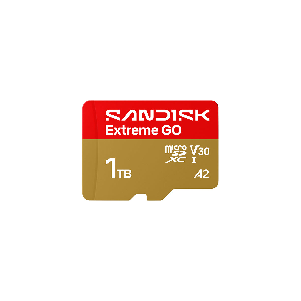 1TB