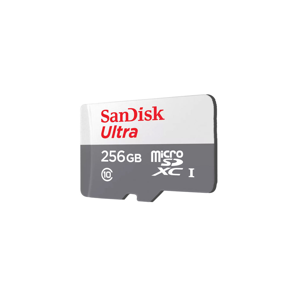 256GB