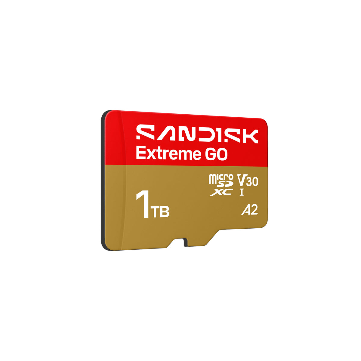 1TB