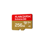 256GB