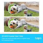 Tapo C420S2 Smart Wire-Free Security Camera System – 2K QHD Battery-Powered Outdoor Cameras with Color Night Vision & Smart AI Detection
