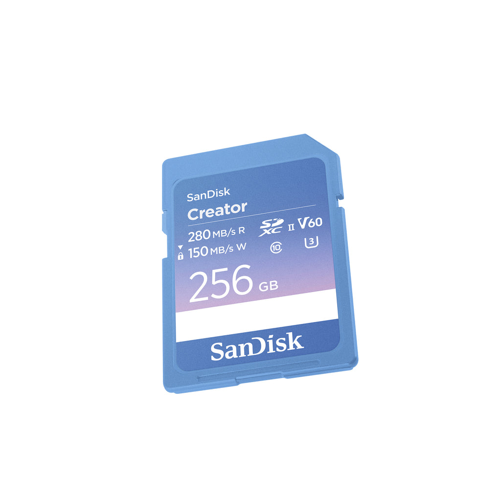 256GB