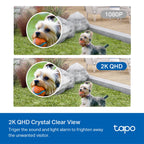 Tapo C420 Smart Wire-Free Security Camera – 2K QHD Battery-Powered Outdoor Camera with AI Detection, Color Night Vision & Weatherproof Design