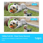 Tapo C400S2 Smart Wire-Free Security Camera System (2-Camera Kit) – 1080p Battery-Powered Outdoor Wi-Fi Cameras with AI Detection, Hub Storage & 180-Day Battery Life