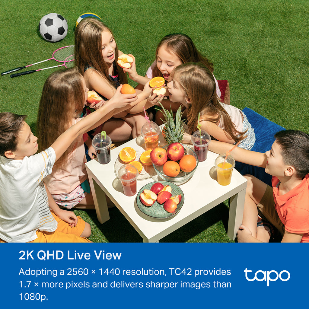 Tapo TC42 Outdoor Pan/Tilt Security Wi-Fi Camera – 360° Smart WiFi Surveillance Camera with Motion Tracking & Night Vision