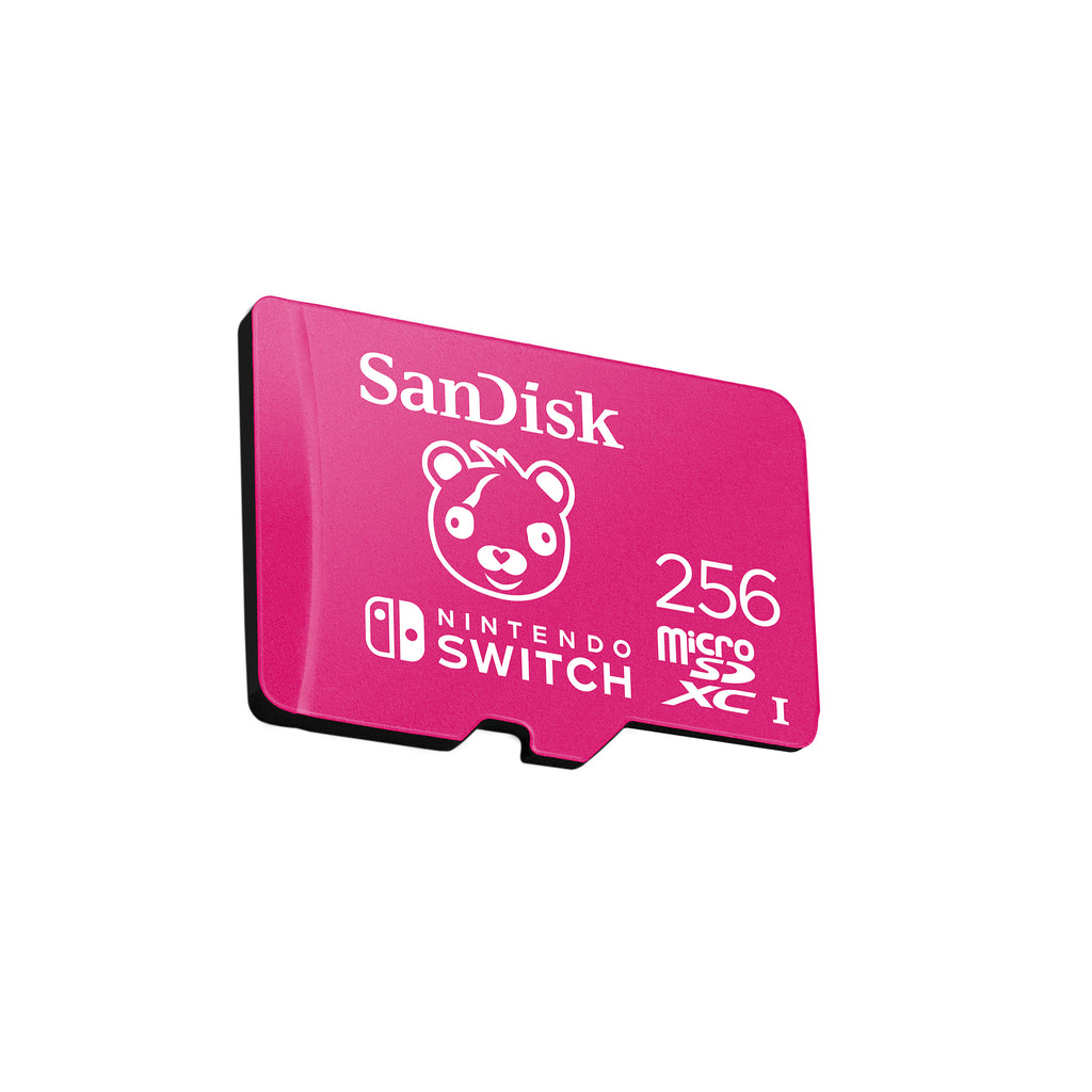 256GB