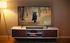 JBL Bar 2.0 All-in-One Compact 2.0 Channel Soundbar – Compact Bluetooth TV Soundbar with Deep Bass & Clear Dialogue