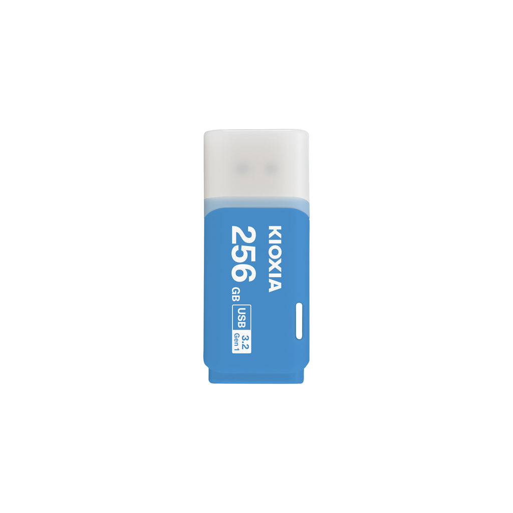 BLUE-256GB