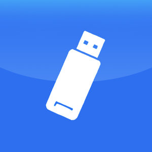 Flash Drive