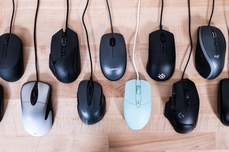 Mice